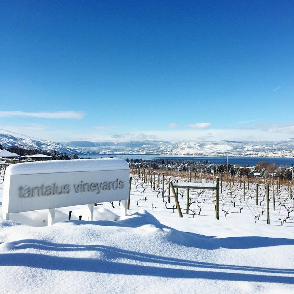 Tantalus Vineyards - Kelowa, BC 